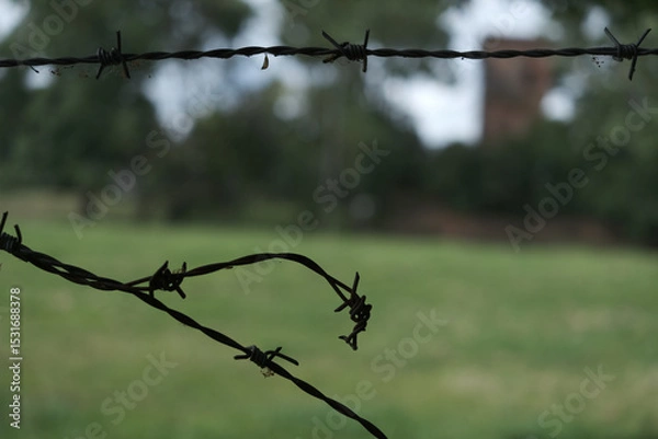 Fototapeta A wire fence with barbed wire on it
