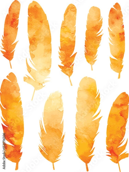 Fototapeta Watercolor yellow vector feathers
