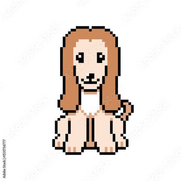 Obraz Pixel art cute afghan hound dog vector in retro style