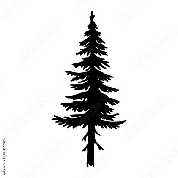 Fototapeta pine forest tree vector