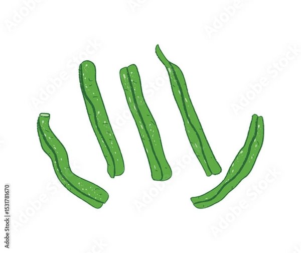 Obraz Raw fresh green green beans