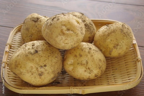 Obraz ジャガイモ　採れたてのジャガイモ　泥付きジャガイモ