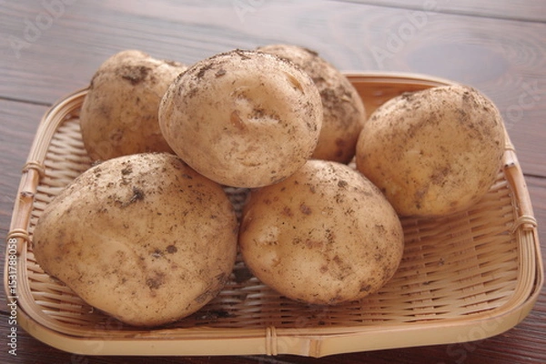 Obraz ジャガイモ　採れたてのジャガイモ　泥付きジャガイモ