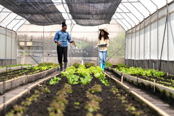 Obraz Children learn to grow vegetables and collect data from experimental vegetable plots in a temperature-controlled greenhouse.