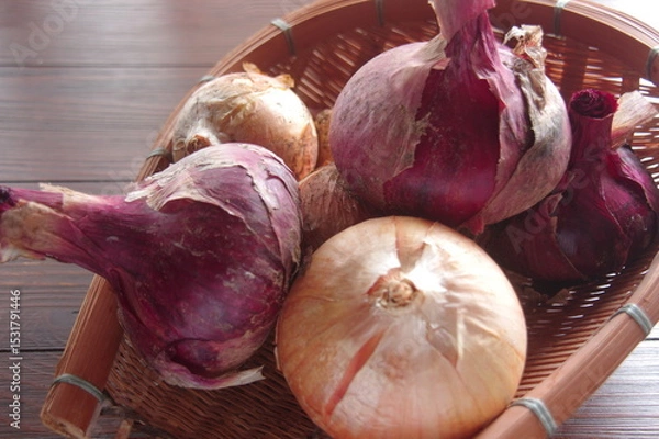 Obraz 玉ねぎ　紫タマネギ　２種類の玉ねぎ