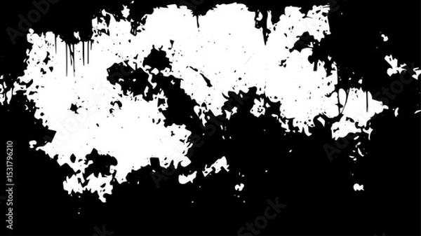 Fototapeta Grunge Ink Splatter Background, Black Abstract Paint Drip Texture on White Canvas