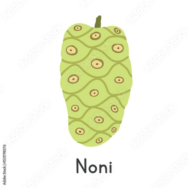 Fototapeta Noni flat vector illustration. Noni cartoon clipart style isolated on white background. Tropical and Exotic fruit concept