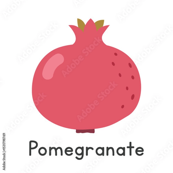 Fototapeta Pomegranate flat vector illustration. Pomegranate cartoon clipart style isolated on white background. Common fruit concept