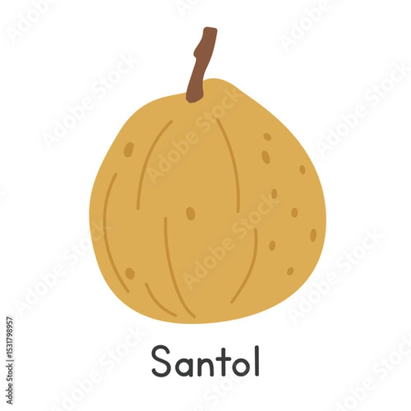 Fototapeta Santol flat vector illustration. Santol cartoon clipart style isolated on white background. Tropical and Exotic fruit concept