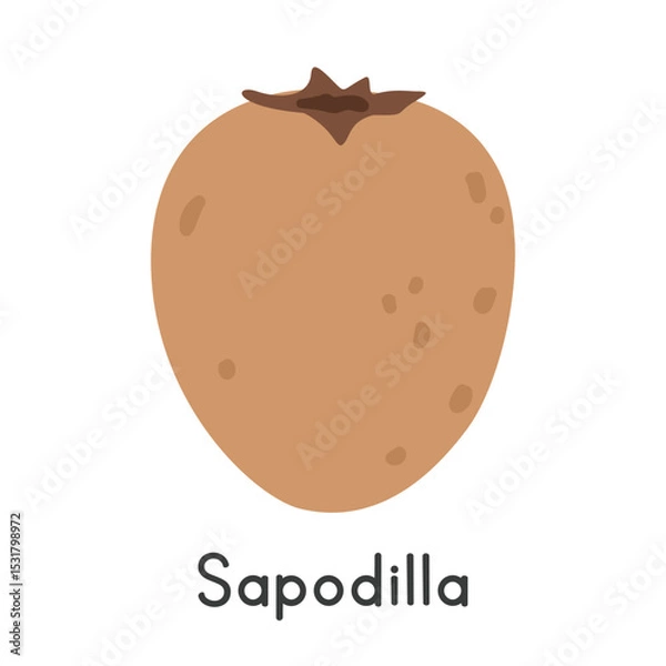 Fototapeta Sapodilla flat vector illustration. Sapodilla or Sapote cartoon clipart style isolated on white background. Tropical and Exotic fruit concept