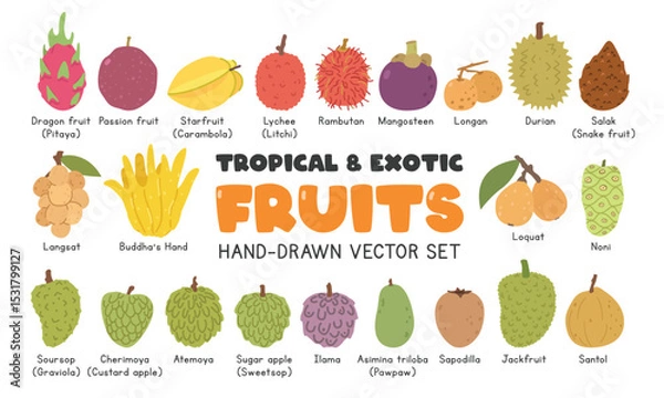 Fototapeta Tropical and Exotic fruits flat vector illustration set in cartoon clipart style. Pitaya, passion fruit, starfruit, lychee, rambutan, mangosteen, durian, salak, langsat, loquat, soursop, jackfruit