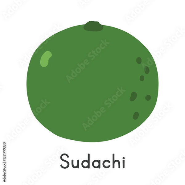 Fototapeta Sudachi flat vector illustration. Green sudachi cartoon clipart style isolated on white background. Citrus fruit concept