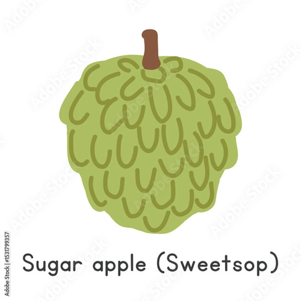 Fototapeta Sugar apple flat vector illustration. Sugar apple or Sweetsop cartoon clipart style isolated on white background. Tropical and Exotic fruit concept