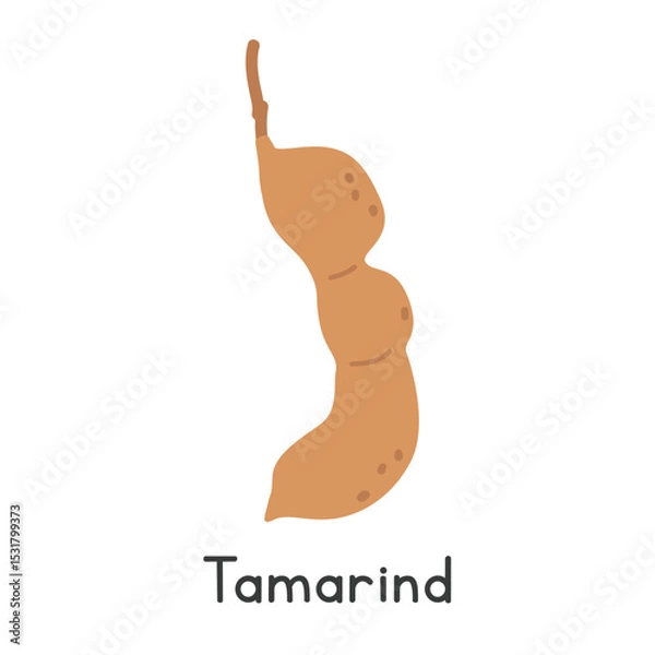 Fototapeta Tamarind flat vector illustration. Tamarind cartoon clipart style isolated on white background. Pods and Legume-like fruit concept