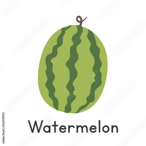 Fototapeta Watermelon flat vector illustration. Simple watermelon cartoon clipart style isolated on white background. Common fruit, Melon and Gourd concept