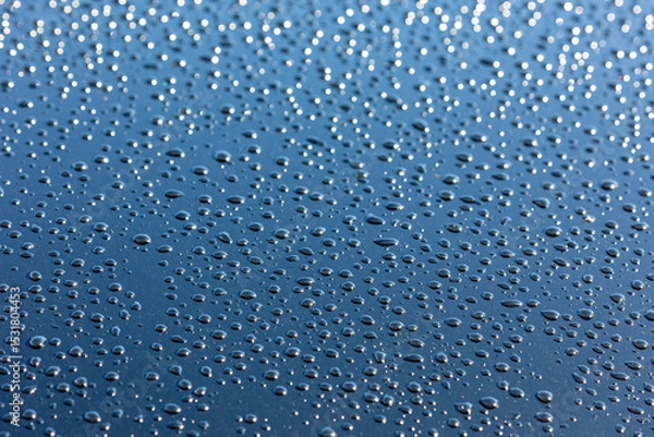 Fototapeta たくさんの水滴