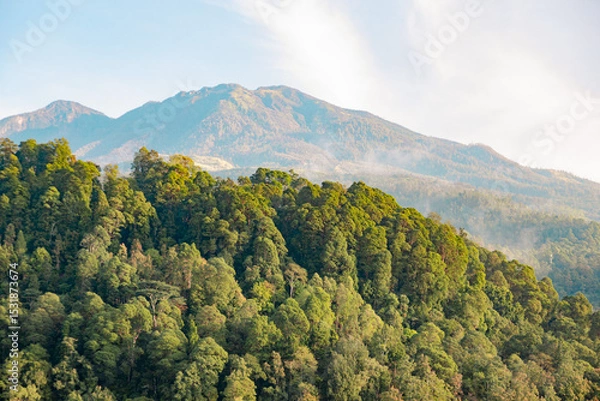 Fototapeta mountain landscape with trees and clouds