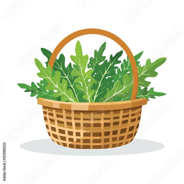 Fototapeta Arugula in a basket Flat Vector Art with Clean Design and Minimal Detailing