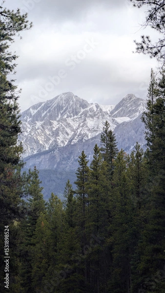 Obraz snow covered mountains
