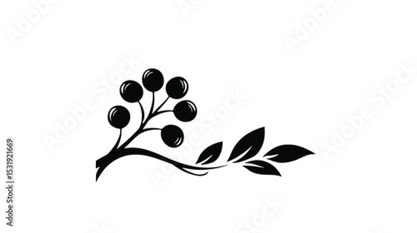Fototapeta Elegant Black and White Berry Branch Clipart: Botanical Illustration for Design Projects