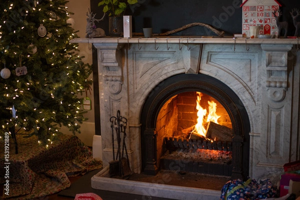 Obraz a fire in a marble enclosed open fireplace, with christmas tree and other items