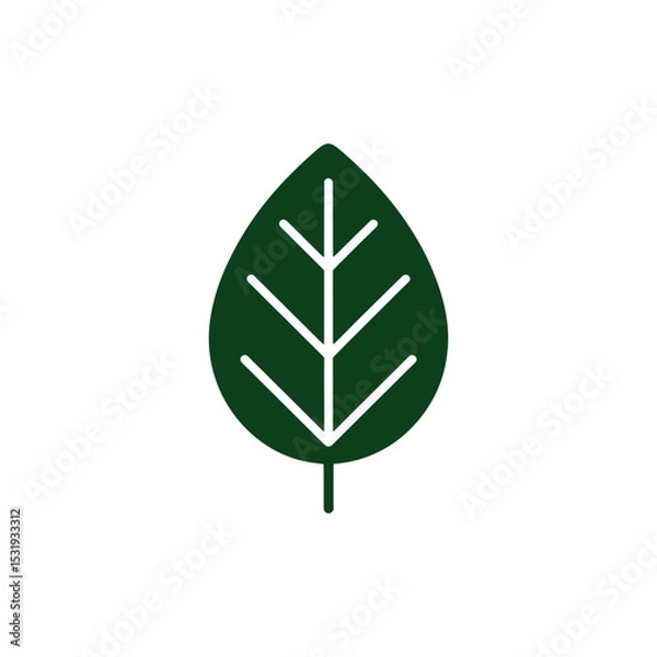 Obraz Isolated Dark Green Leaf Icon with Veins and Stem on White Background