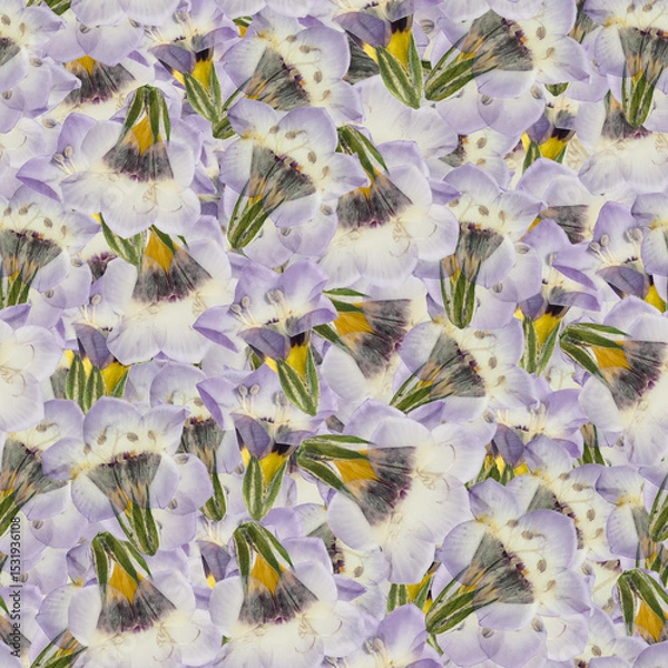 Fototapeta Website design element. Repeating raster pattern, seamless floral ornament stripe. Seamless framing with floral motifs. Seamless horizontal stripe for textile, cotton. Design tablecloth print, towel.