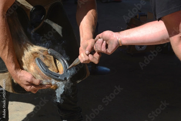 Fototapeta farriers test the horseshoe