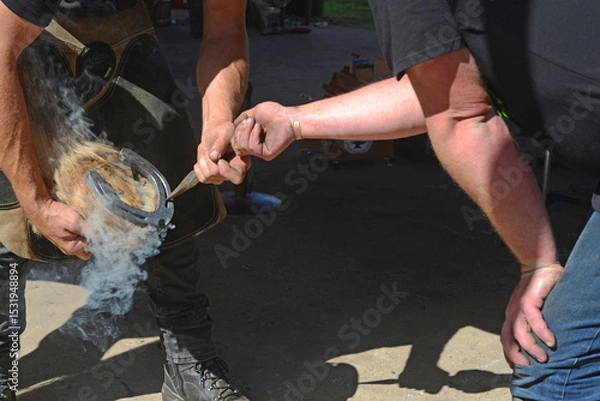 Fototapeta farriers test the horseshoe