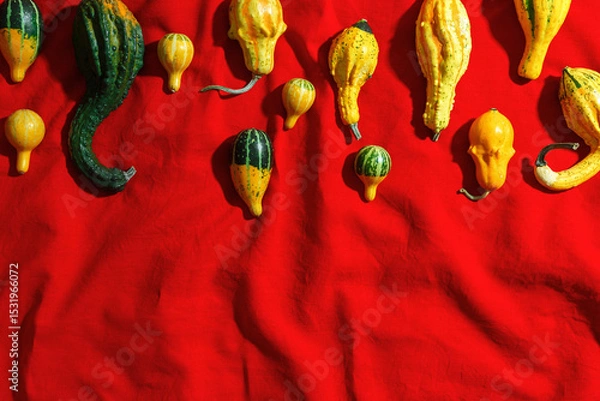 Obraz Pumpkins pattern, decorative diverse pumpkin, squash, patisson on red cloth background top view. Autumn, fall, halloween holiday concept. Minimal autumnal layout with sunlight shadows, copy space.