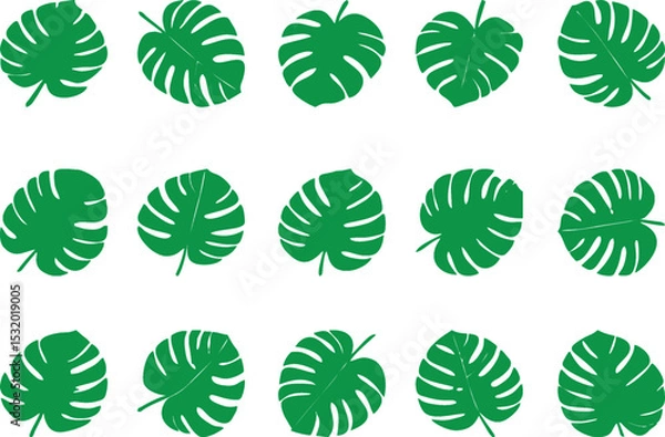 Fototapeta Green Tropical, autumn and Monstera leaf set on white background, showcasing diverse shapes and textures of exotic foliage. Monstera tropical leaves,  minimalist style. summer design, Eco-friendly.