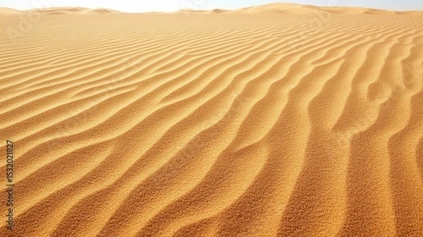 Fototapeta A vast expanse of golden sand dunes with gentle ripples under a clear sky. The scene captures the serene beauty of a desert landscape.