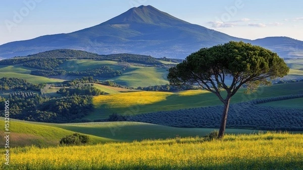 Fototapeta Lush hills and a solitary tree under a vast sky.