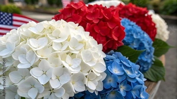 Obraz Vibrant Hydrangea Blooms in Red, White, and Blue for Celebration