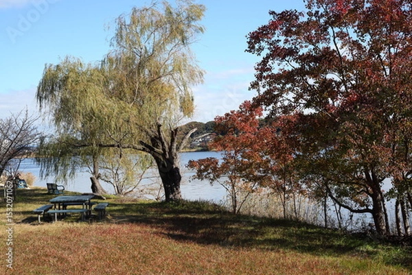 Obraz 晩秋の湖畔　