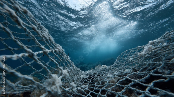 Obraz Underwater fishnet entangled coral, showcasing impact of pollution marine life. serene blue water contrasts with net texture