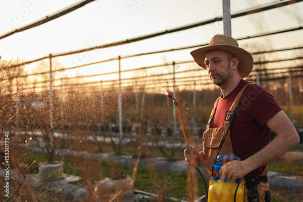 Fototapeta Farmer using pesticide, insecticide and herbicide sprayer sprinkler in an blueberries farm outdoors in springtime, before blooming.
