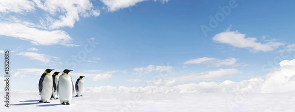 Obraz Panorama pingwina