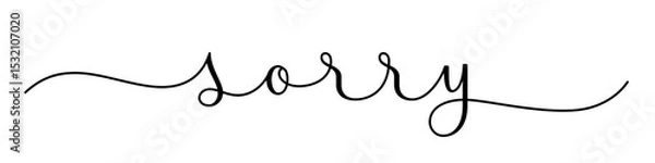 Fototapeta SORRY black vector brush calligraphy banner with swashes on white background