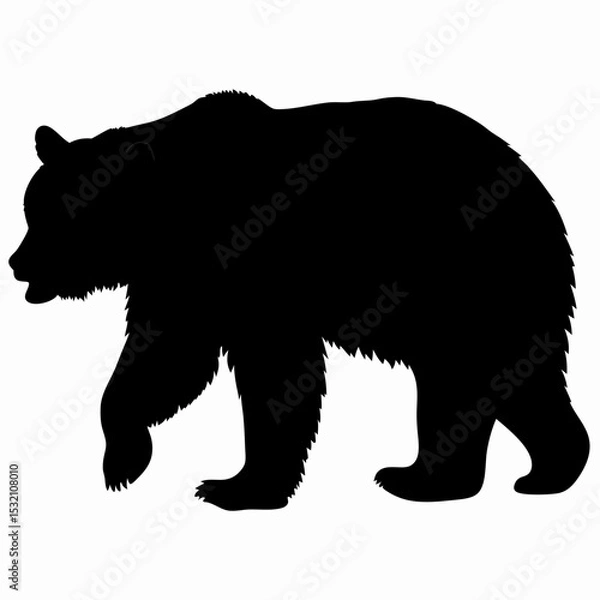 Obraz Silhouette of a Walking Bear Isolated on White Background
