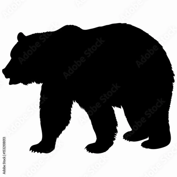 Obraz Silhouette of a Walking Bear Isolated on White Background
