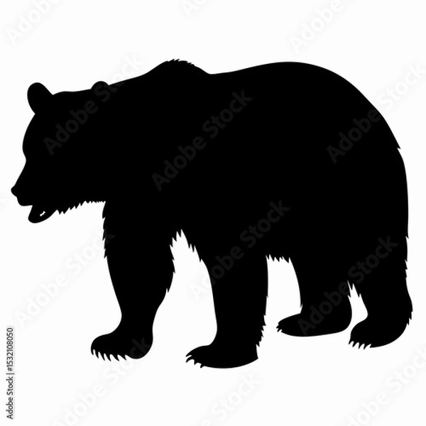 Obraz Silhouette of a Walking Bear Isolated on White Background
