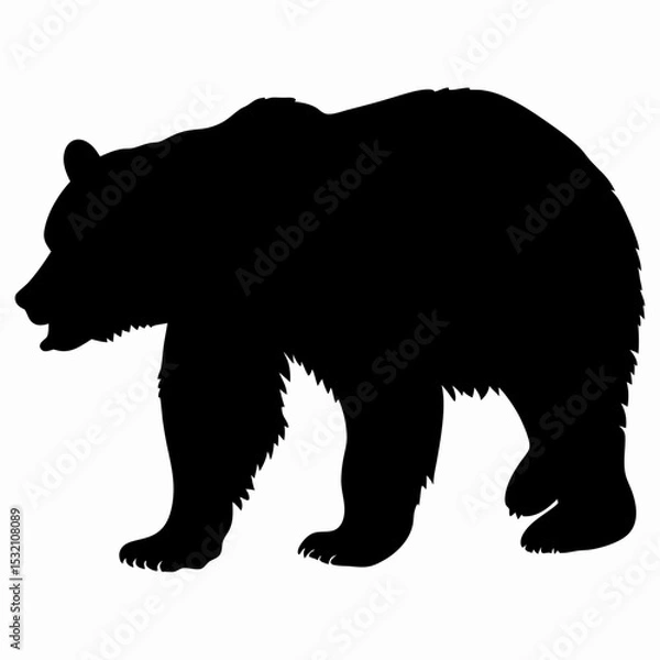 Obraz Silhouette of a Walking Bear Isolated on White Background
