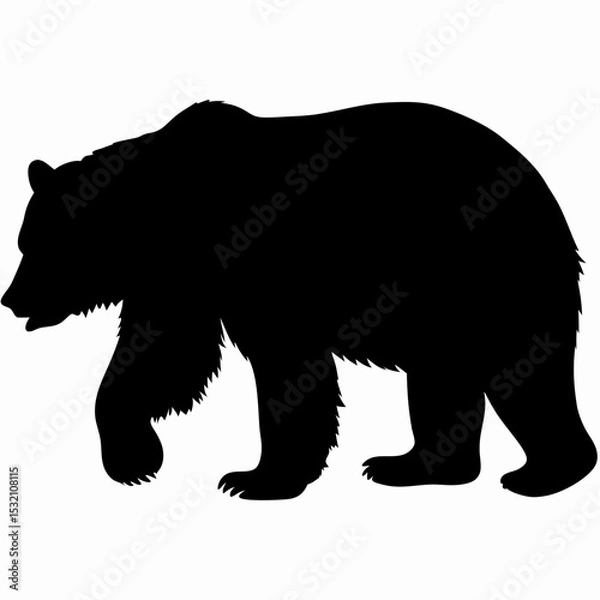 Obraz Silhouette of a Walking Bear Isolated on White Background
