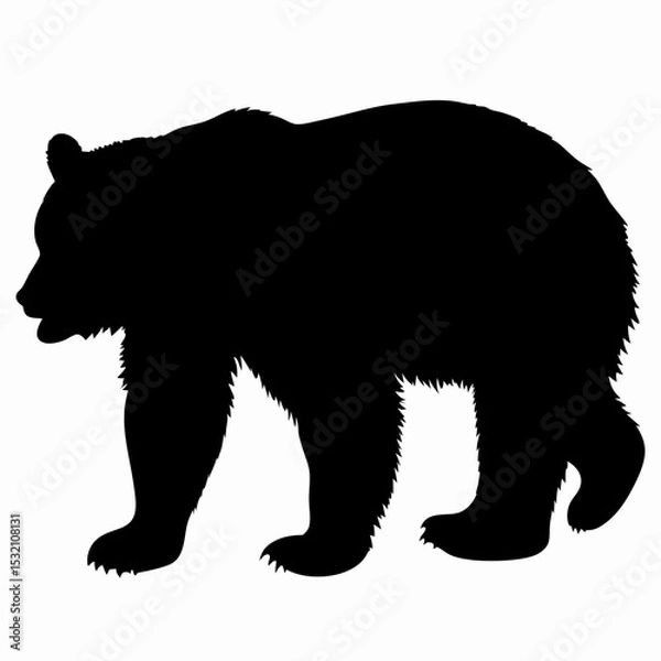 Obraz Silhouette of a Walking Bear Isolated on White Background
