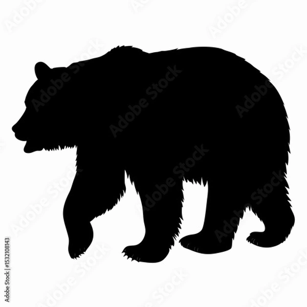Obraz Silhouette of a Walking Bear Isolated on White Background
