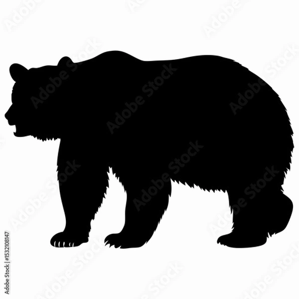 Obraz Silhouette of a Walking Bear Isolated on White Background
