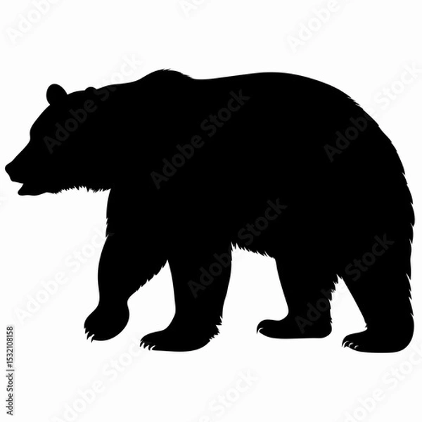 Obraz Silhouette of a Walking Bear Isolated on White Background

