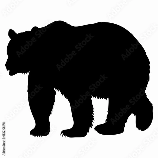 Obraz Silhouette of a Walking Bear Isolated on White Background
