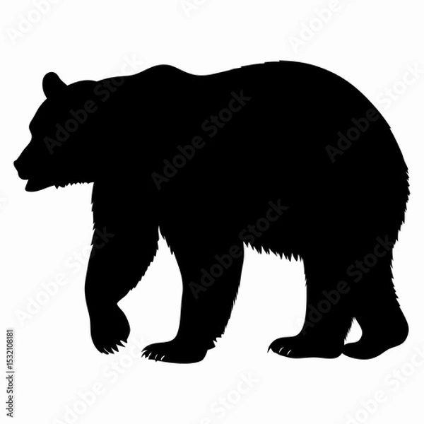 Obraz Silhouette of a Walking Bear Isolated on White Background
